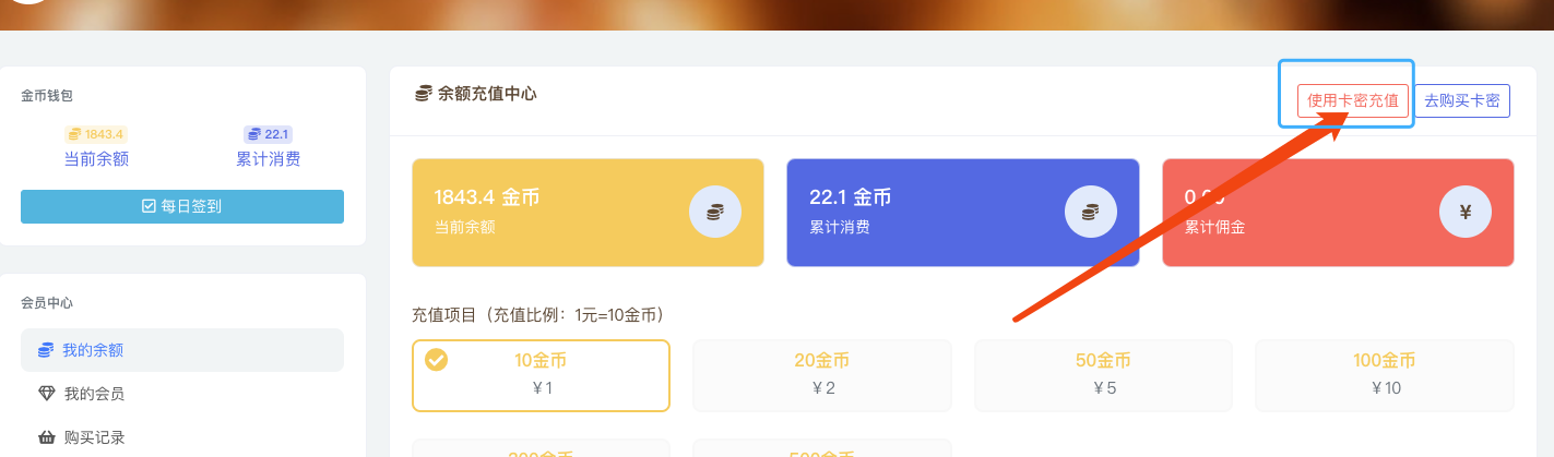 image-20250117191738811