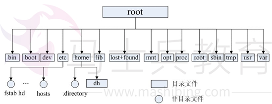 image-20220923211607211